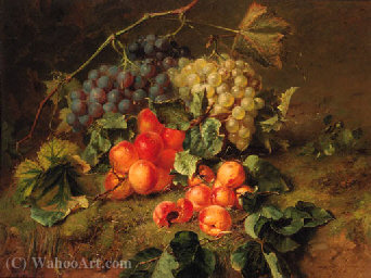 A Still Life With Grapes And Apricots — Adriana Johanna Haanen