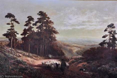 Sheep On A Winding Path, Leith Hill — Alexander Young