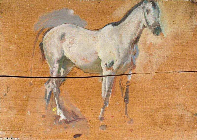 Study Of A Grey Hunter - — Маннингс