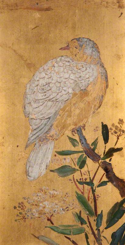 A Pigeon (recto) — Beatrix Whistler