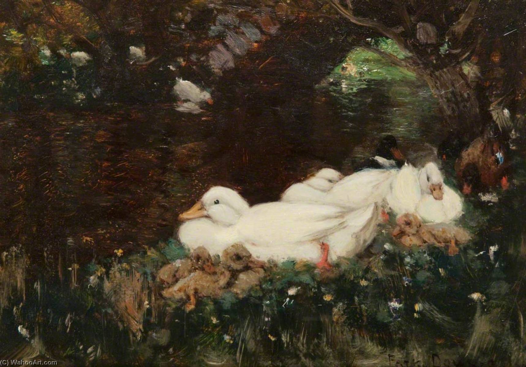 Ducks And Ducklings — Patrick Downie