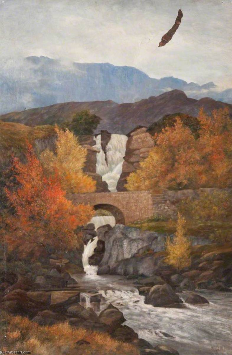 Ardessie Falls, Little Loch Broom, Ross Shire — Robert Lillie