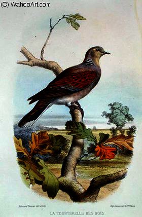 The Turtle Dove — Edouard Traviès