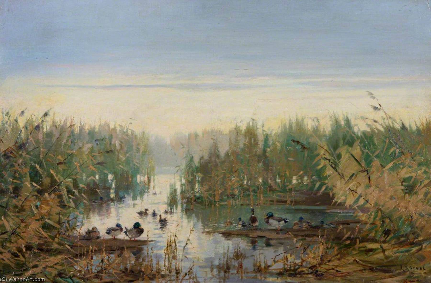 Mallards At Rest — John Sydney Steel