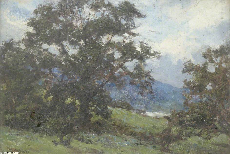 Landscape — John Brandon Smith