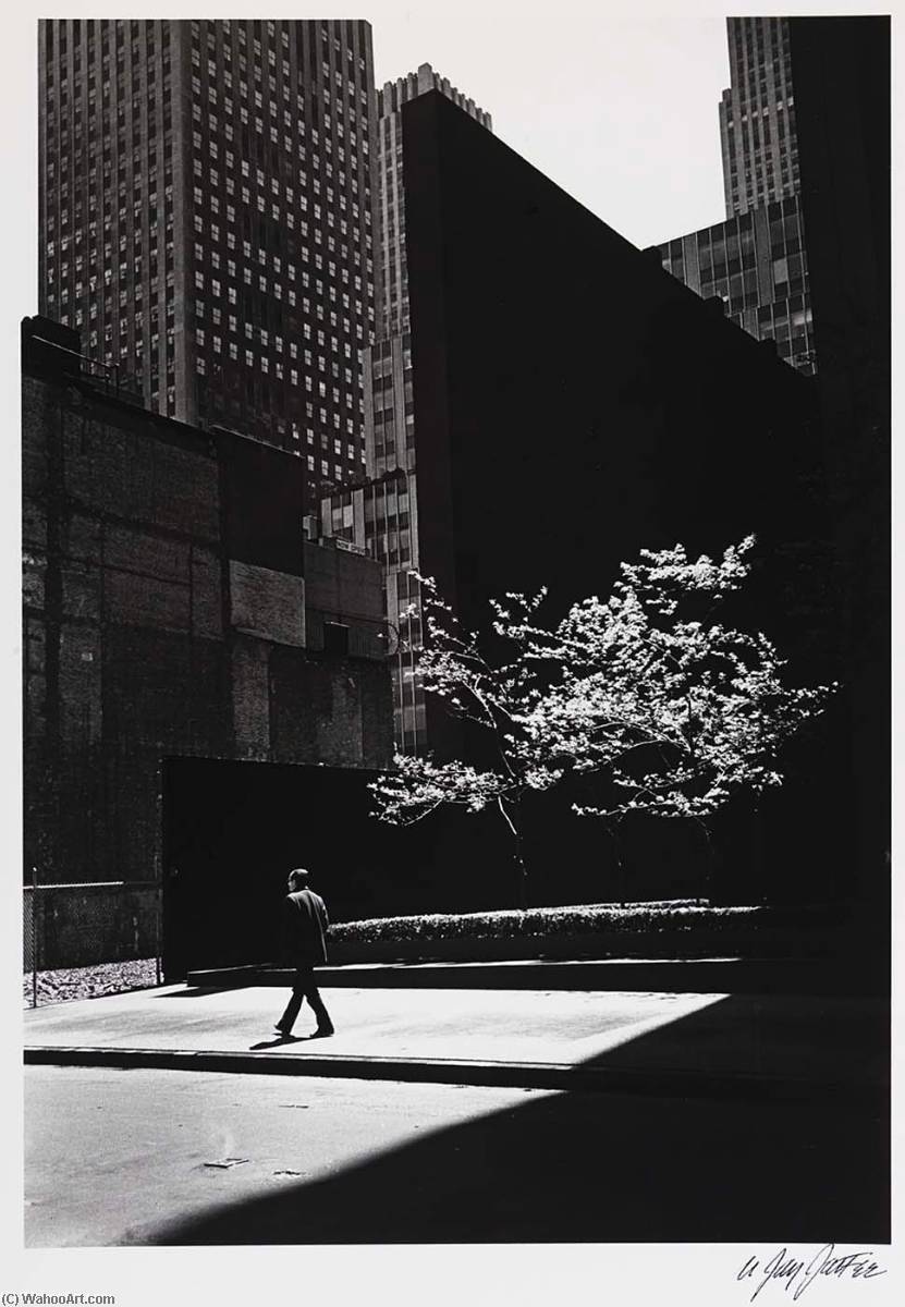 Man Walking And Tree — Nathan Jay Jaffee