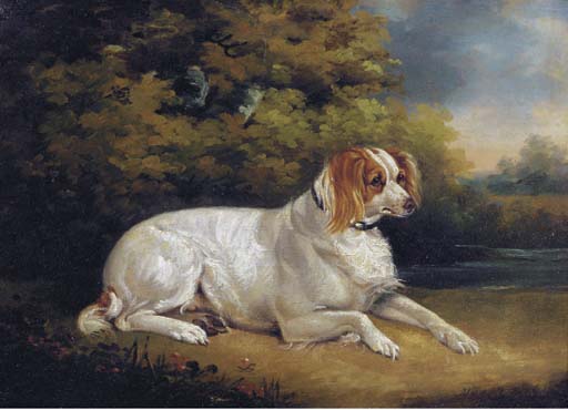 Reclining Brittany Spaniel — Henry Bernard Chalon