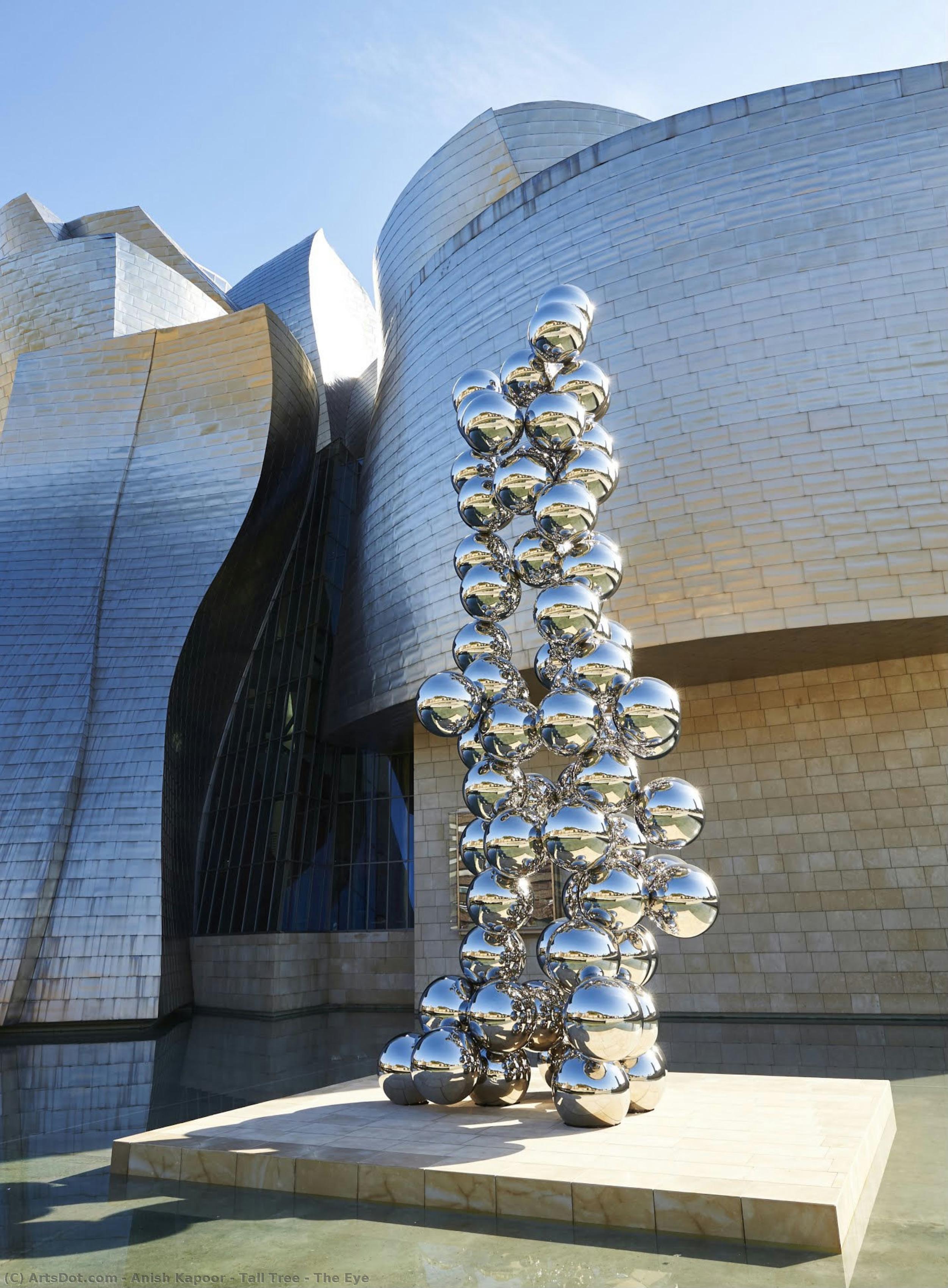 Hoher Baum & Das Auge — Anish Kapoor