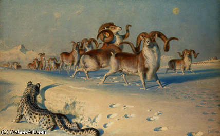 A Snow Leopard Stalking Ovis Poli — Joseph Wolf