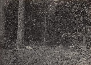 Szene Des Todes Von General Mcpherson Aus Dem Album ‚photographische Ansichten Von Shermans Feldzug’ — George Grey Barnard