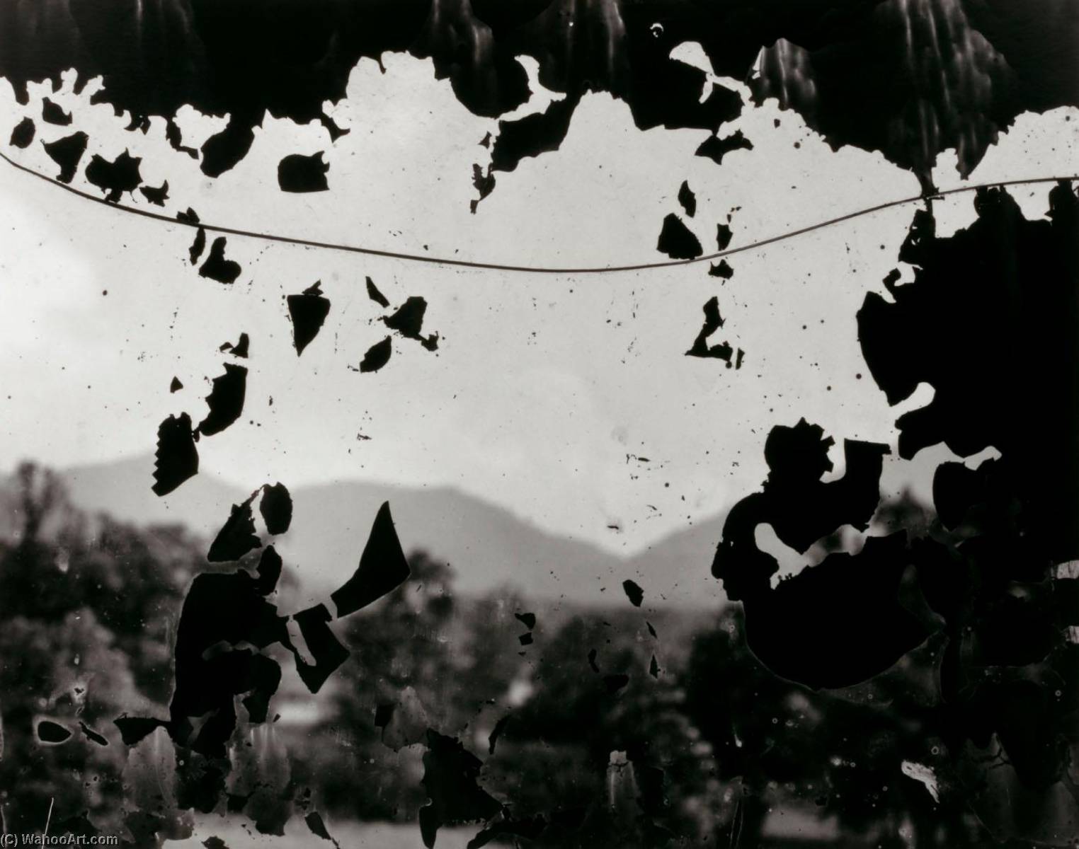 North Carolina 9 — Aaron Siskind