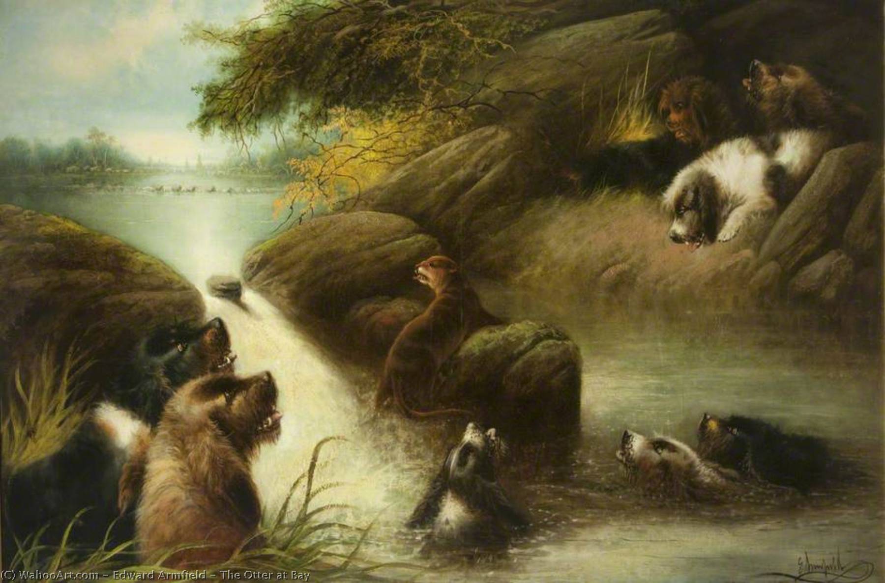 The Otter At Bay — Edward Armfield