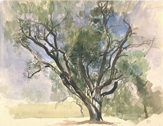 The Olive-tree Of Pontheil At Antibes — Jean-louis Ernest Meissonier