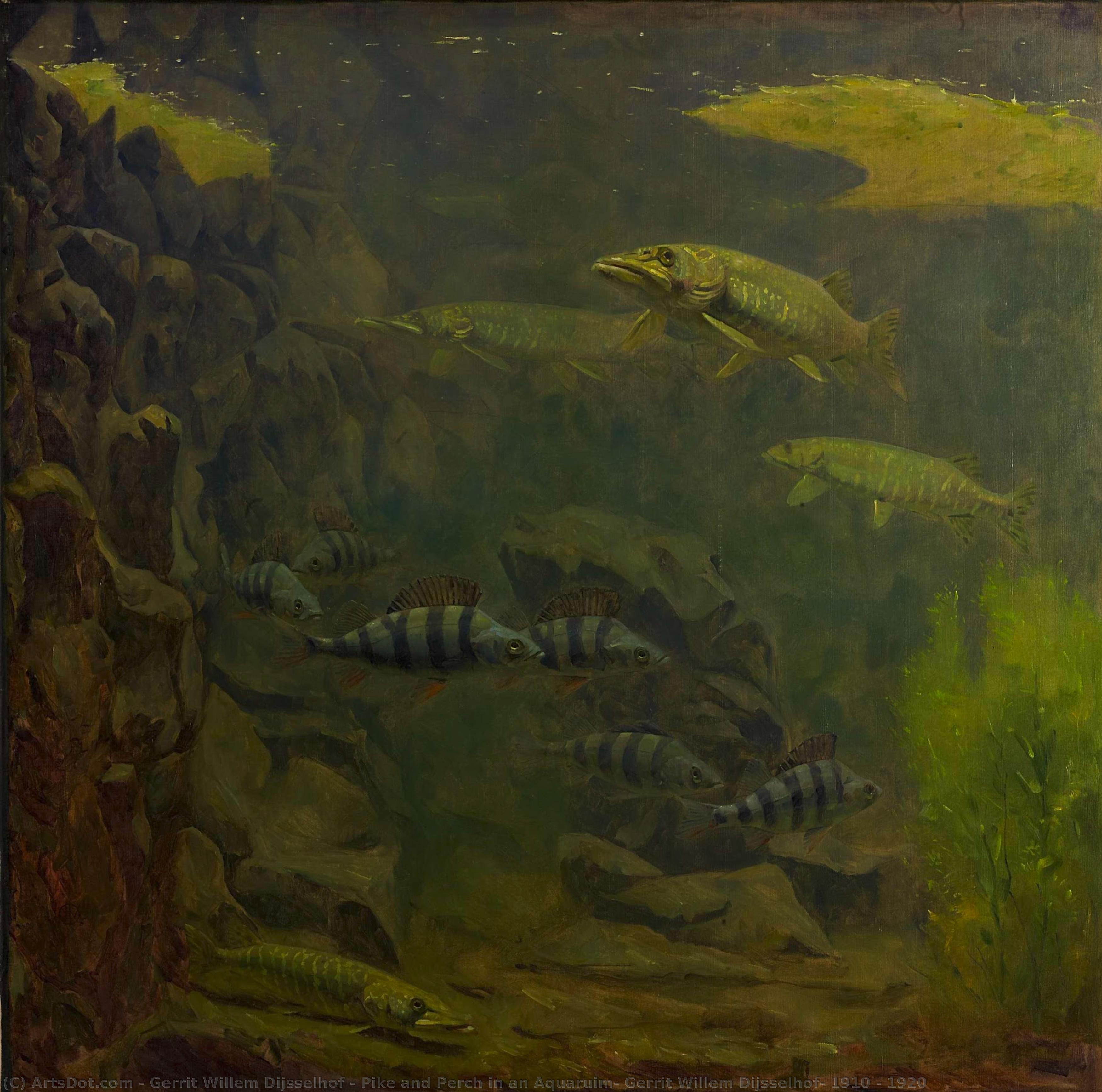 Pike And Perch In An Aquaruim, Gerrit Willem Dijsselhof, 1910 - 1920 — Gerrit Willem Dijsselhof