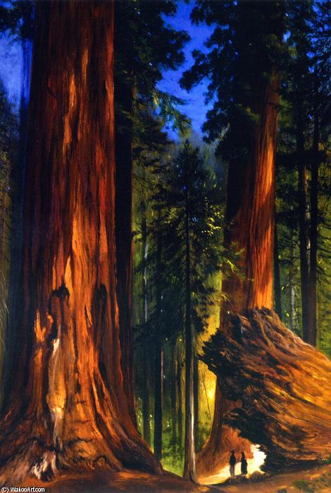 Giant Sequoias — Гилберт Мэнджер