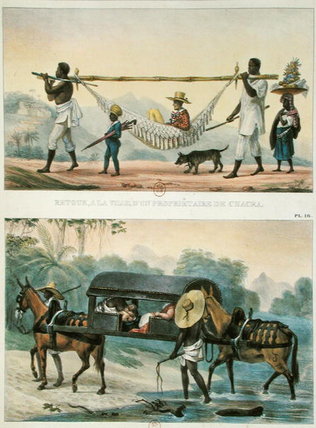 Different Transport In Brazil — Jean-baptiste Debret