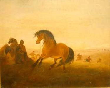 The Captured Horse — Alvan Fisher