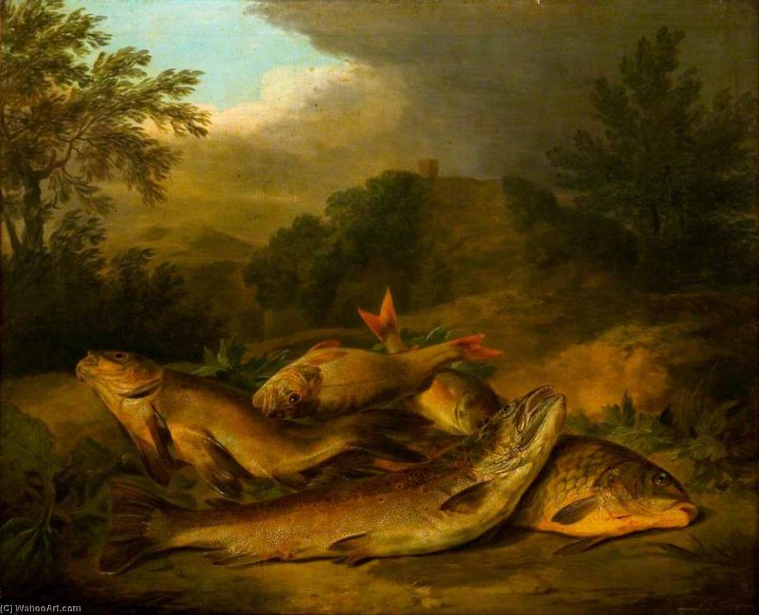 A Group Of Fish Lying On The Ground — Stephen Elmer