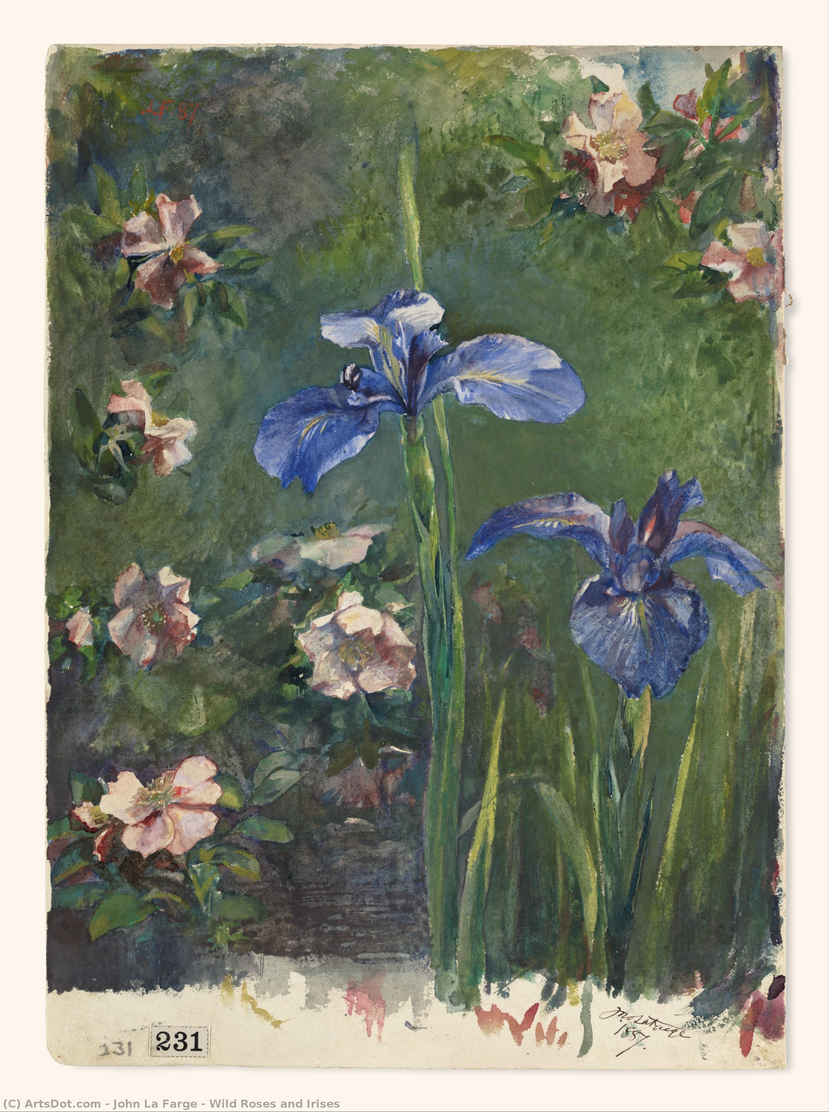 Wild Roses And Irises — John La Farge