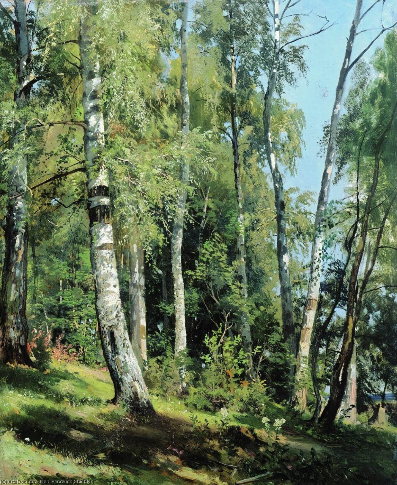 Birch Grove — イワン・イヴァノヴィッチ・シシキン