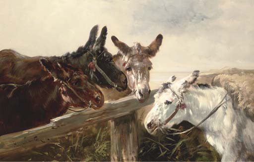 Donkeys — Henry Schouten