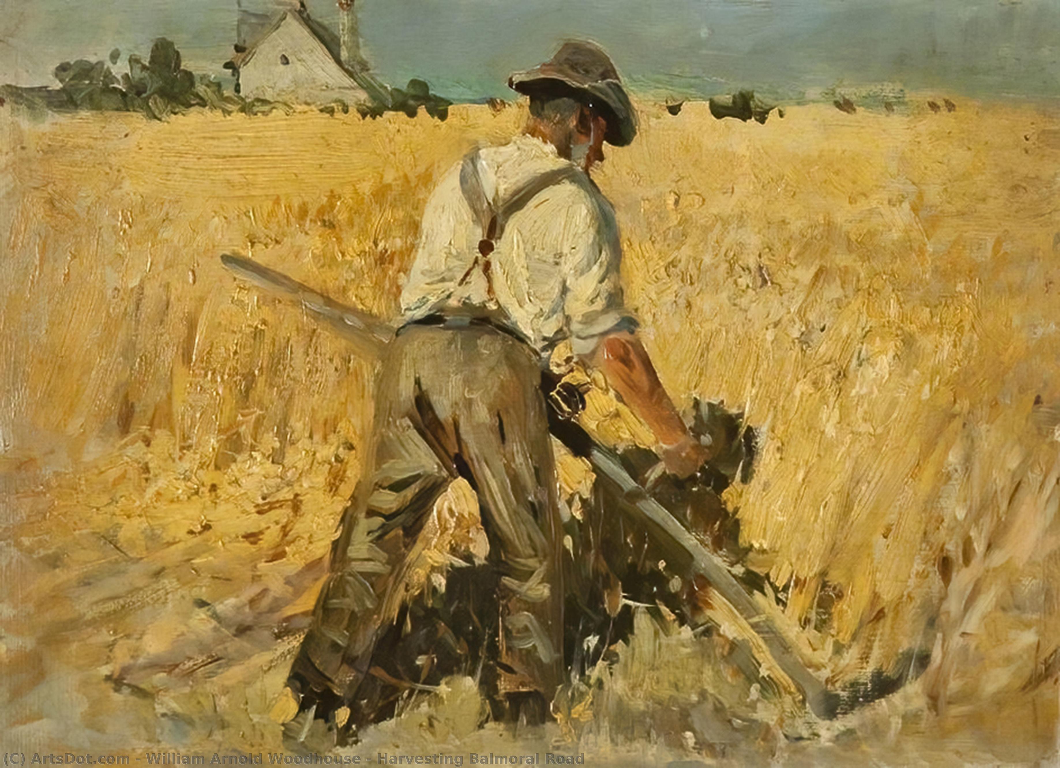Harvesting Balmoral Road — William Arnold Woodhouse