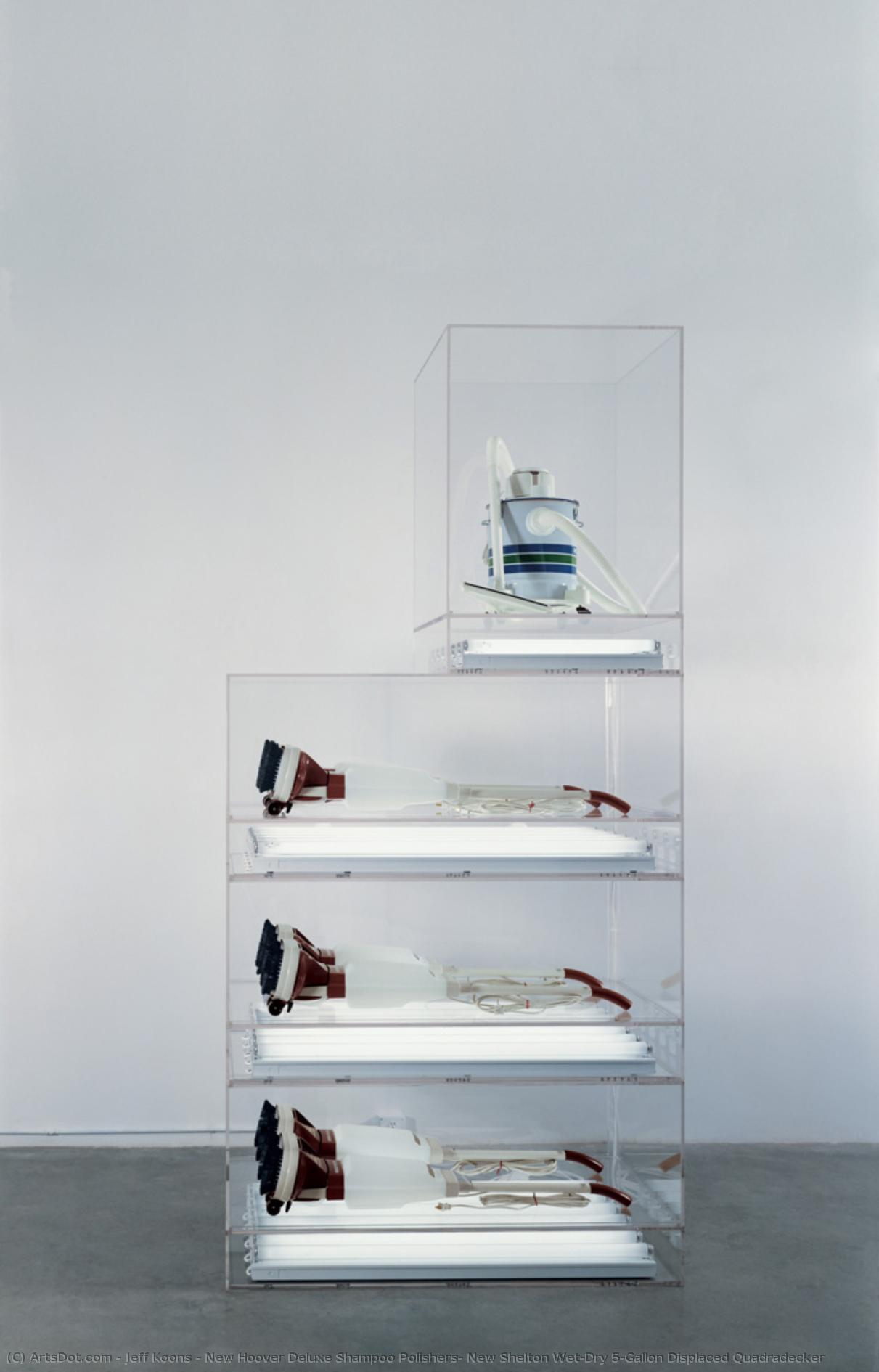 New Hoover Deluxe Shampoo Polishers, New Shelton Wet/dry 5-gallon Displaced Quadradecker — Jeff Koons