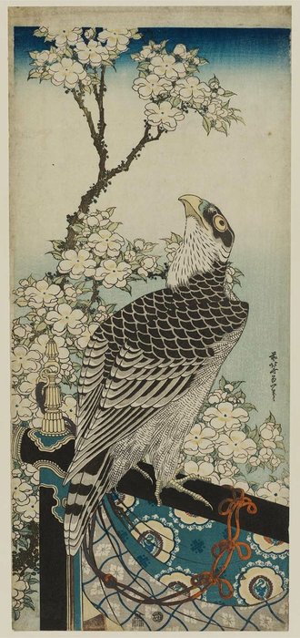 Hawk Und Kirschblüten — Katsushika Hokusai