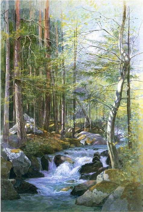 Torrent In Wood Behind Mill Dam, Vahrn Near Brixen, Tyrol — William Stanley Haseltine