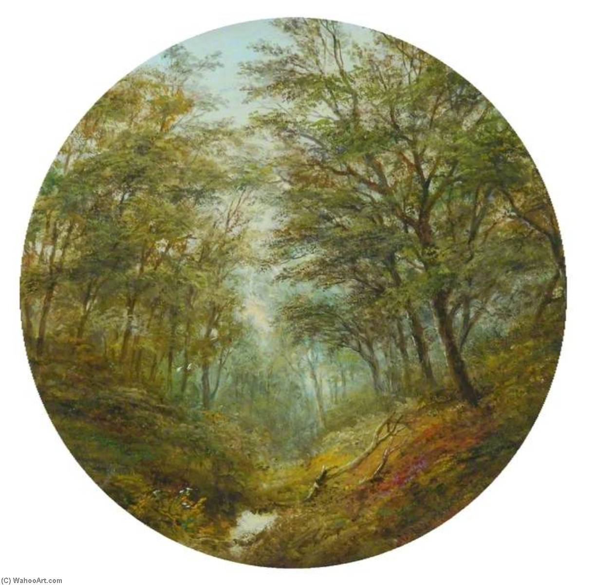 Woodland Scene — Robert Burrows