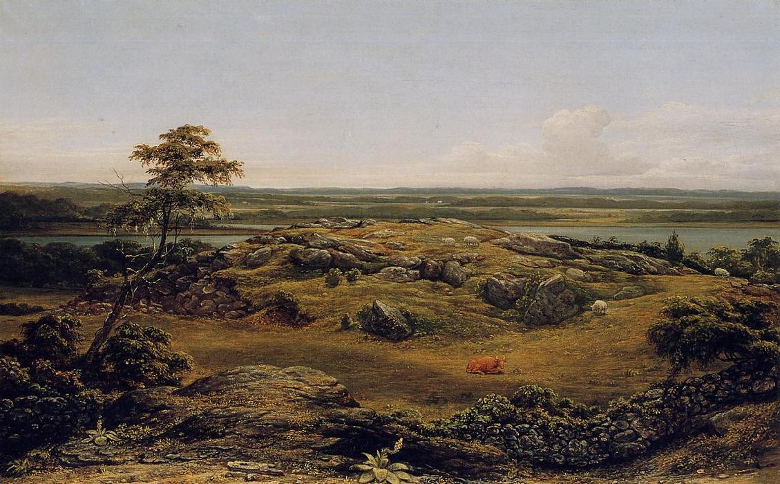 Rocks In New England — Мартин Джонсон Хед