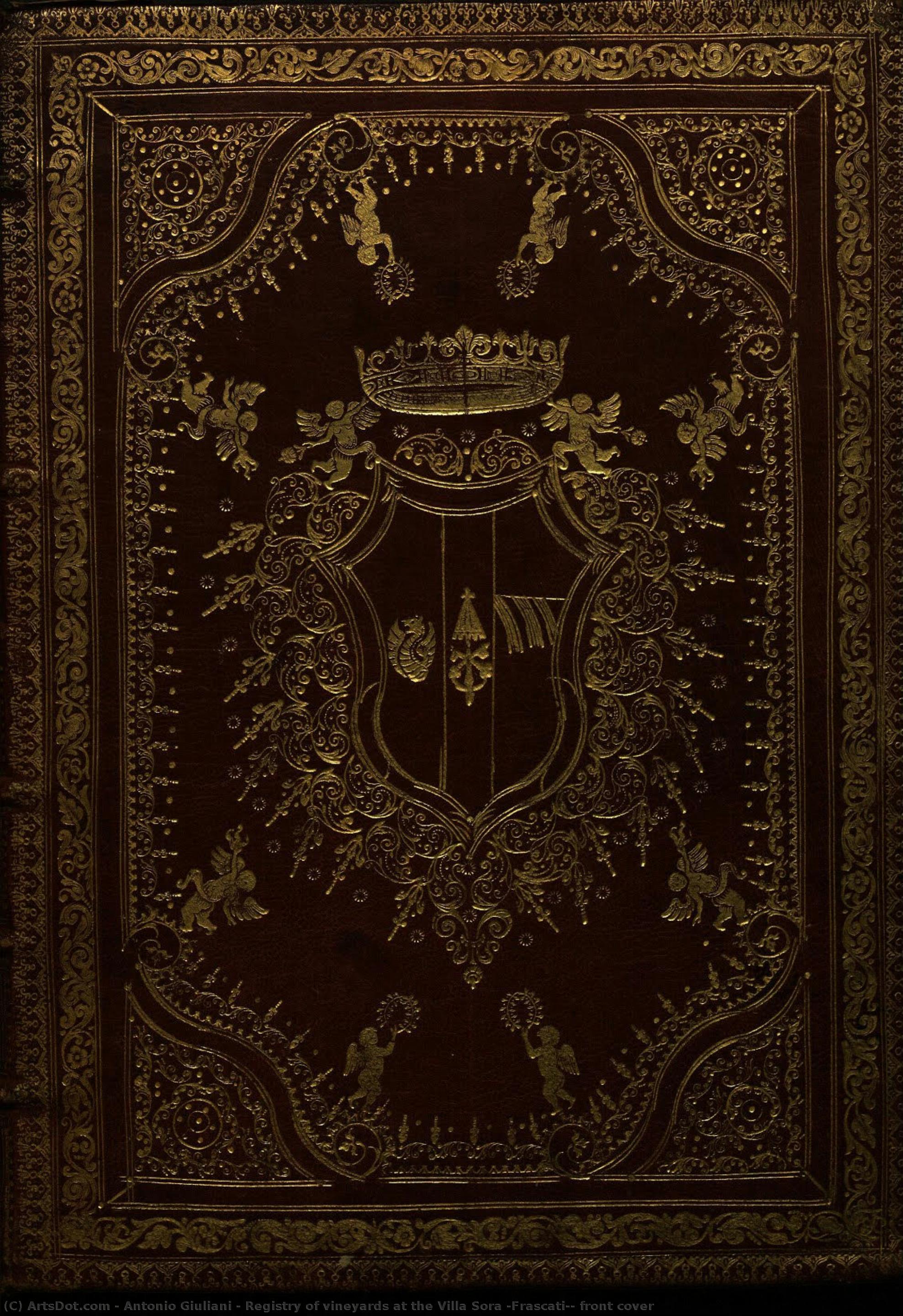 Registry Of Vineyards At The Villa Sora (frascati): Front Cover — Antonio Giuliani