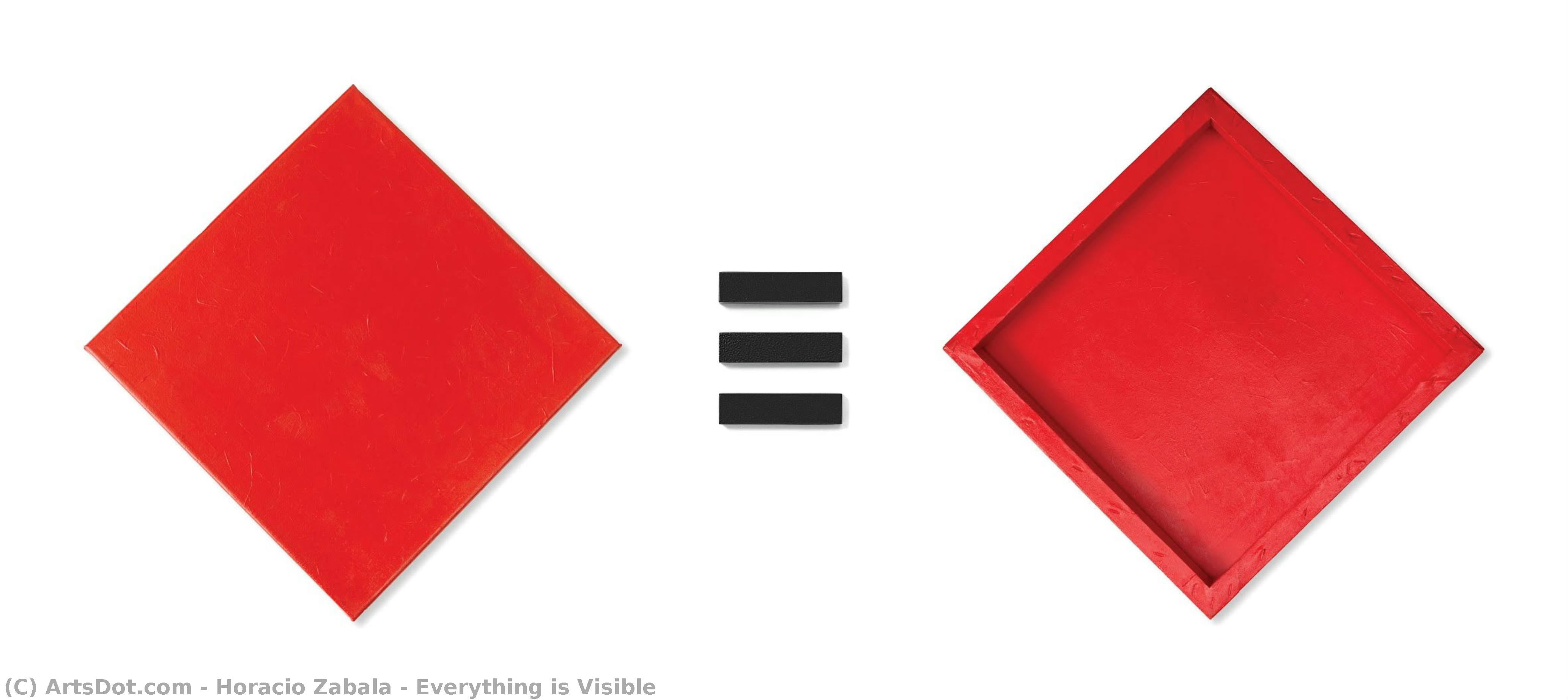 Everything Is Visible — Орасио Сабала