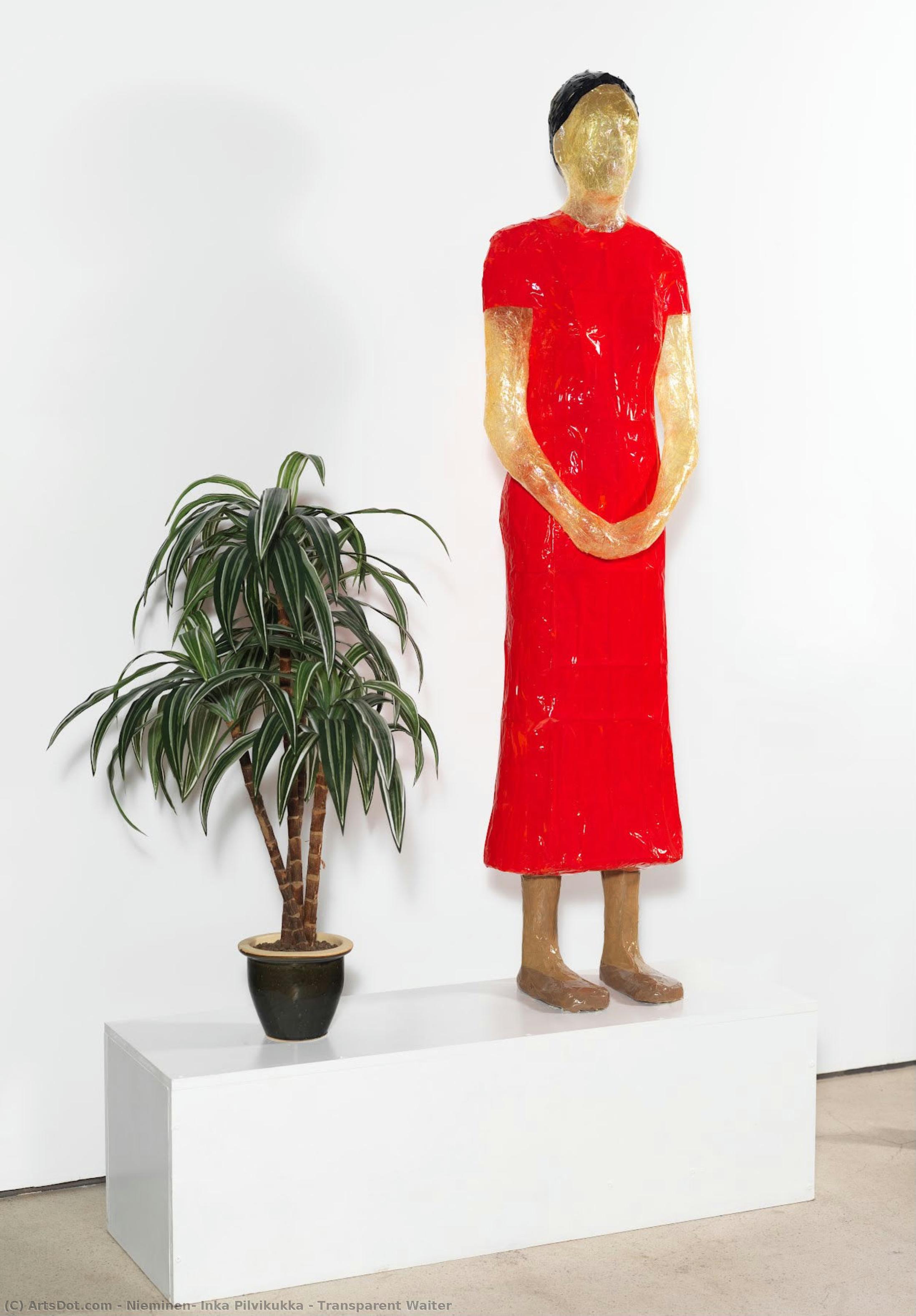 Transparent Waiter — Nieminen, Inka Pilvikukka