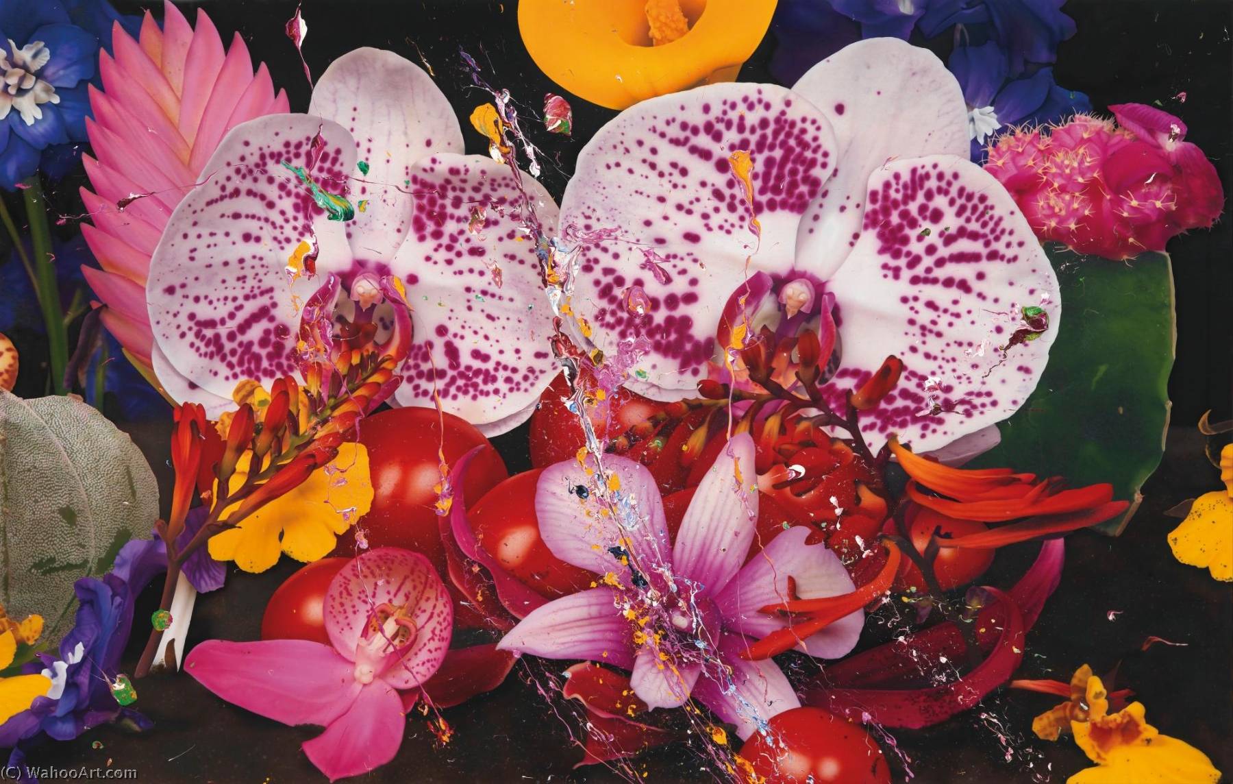 Under The Volcano, Brava, Cape Verde Islands — Marc Quinn