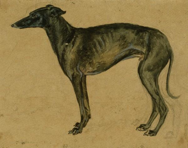 A Greyhound In Profile — John Frederick Lewis