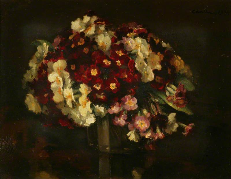 Polyanthus — Gerard Chowne