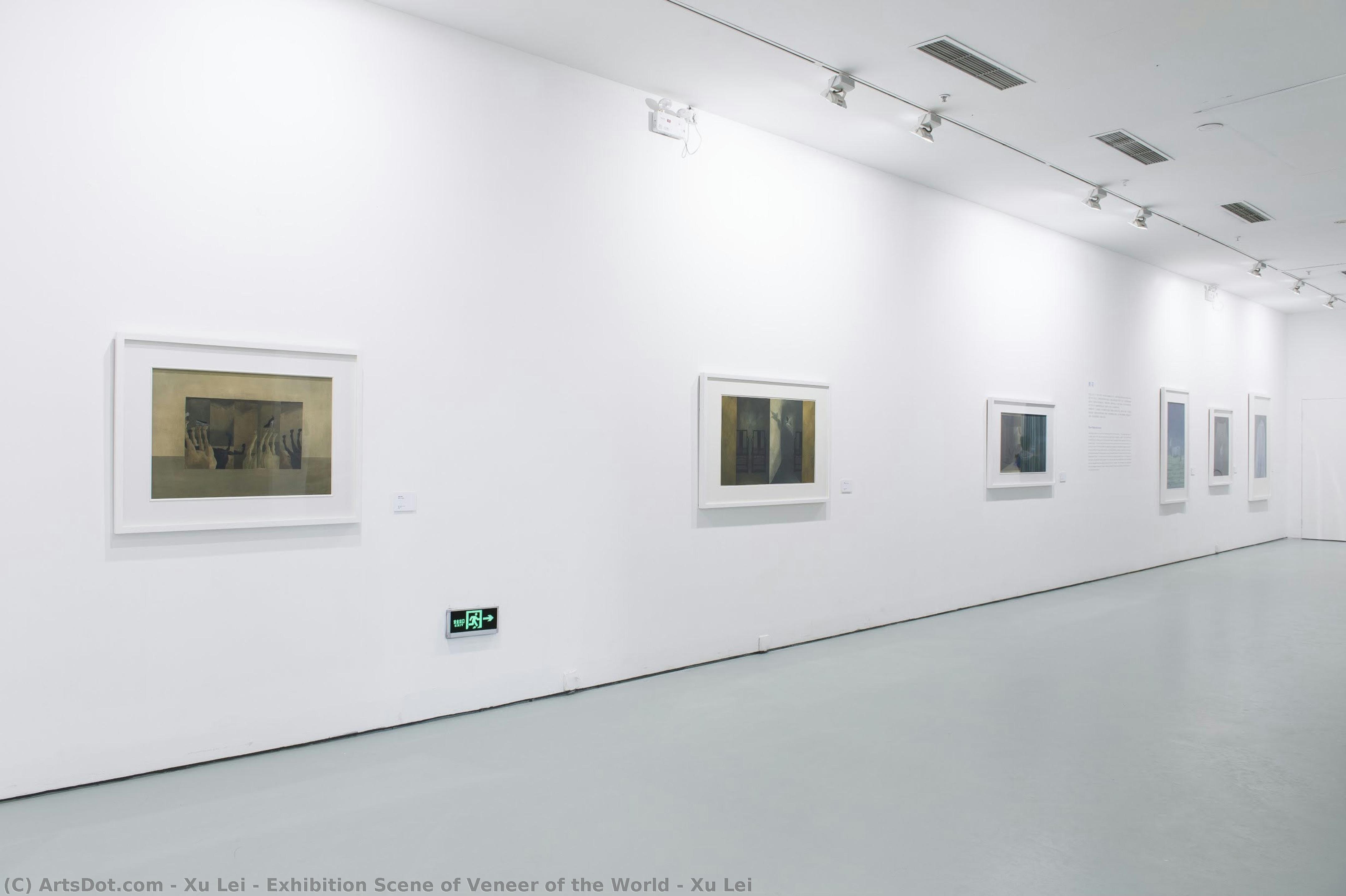Exhibition Scene Of Veneer Of The World - Xu Lei — Xu Lei