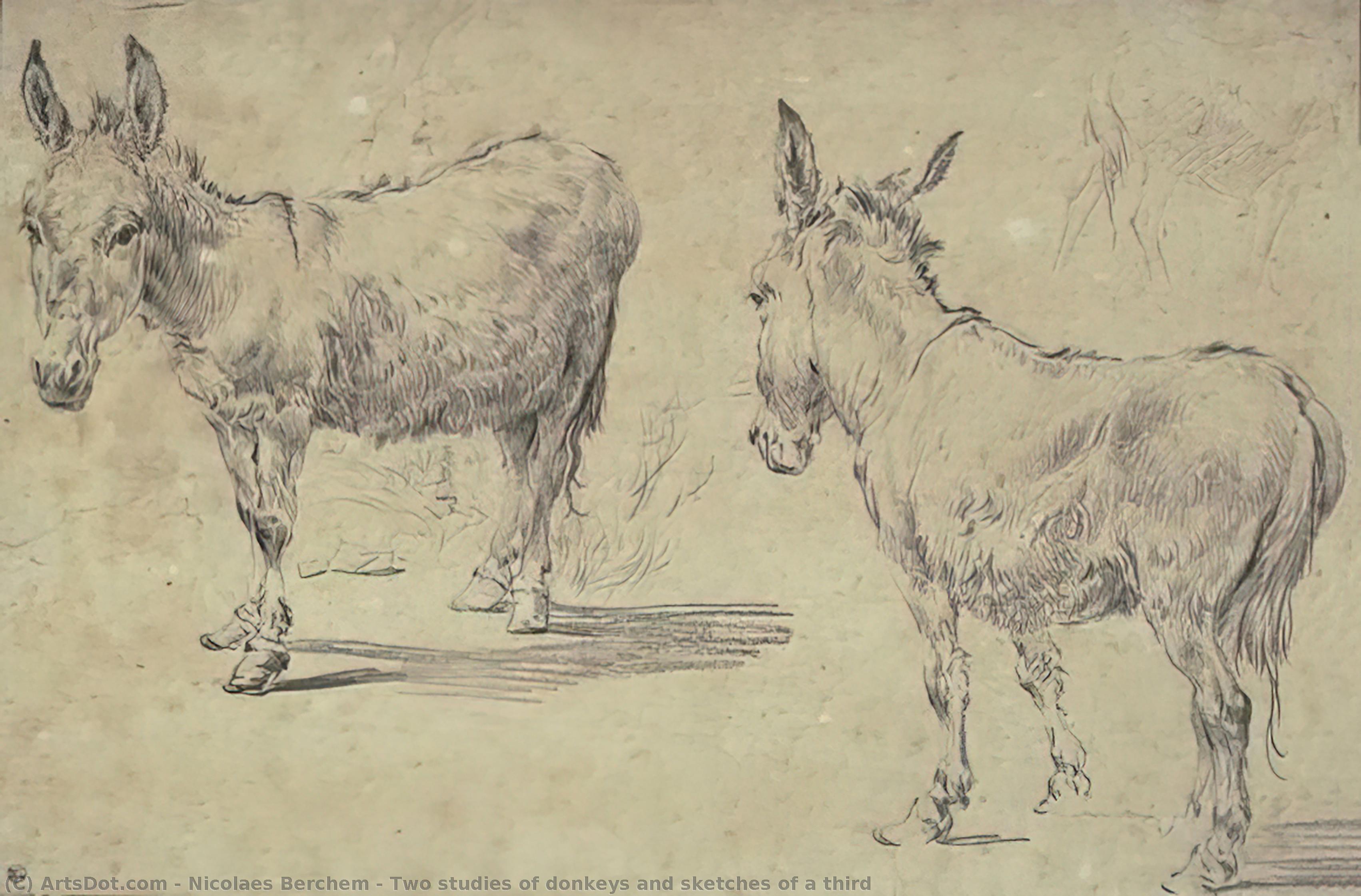 Two Studies Of Donkeys And Sketches Of A Third — Nicolaes Pietersz Berchem