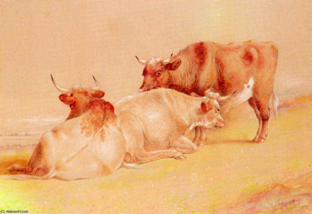 Cattle Resting — William Huggins