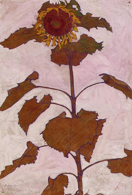 Sunflower — Шиле