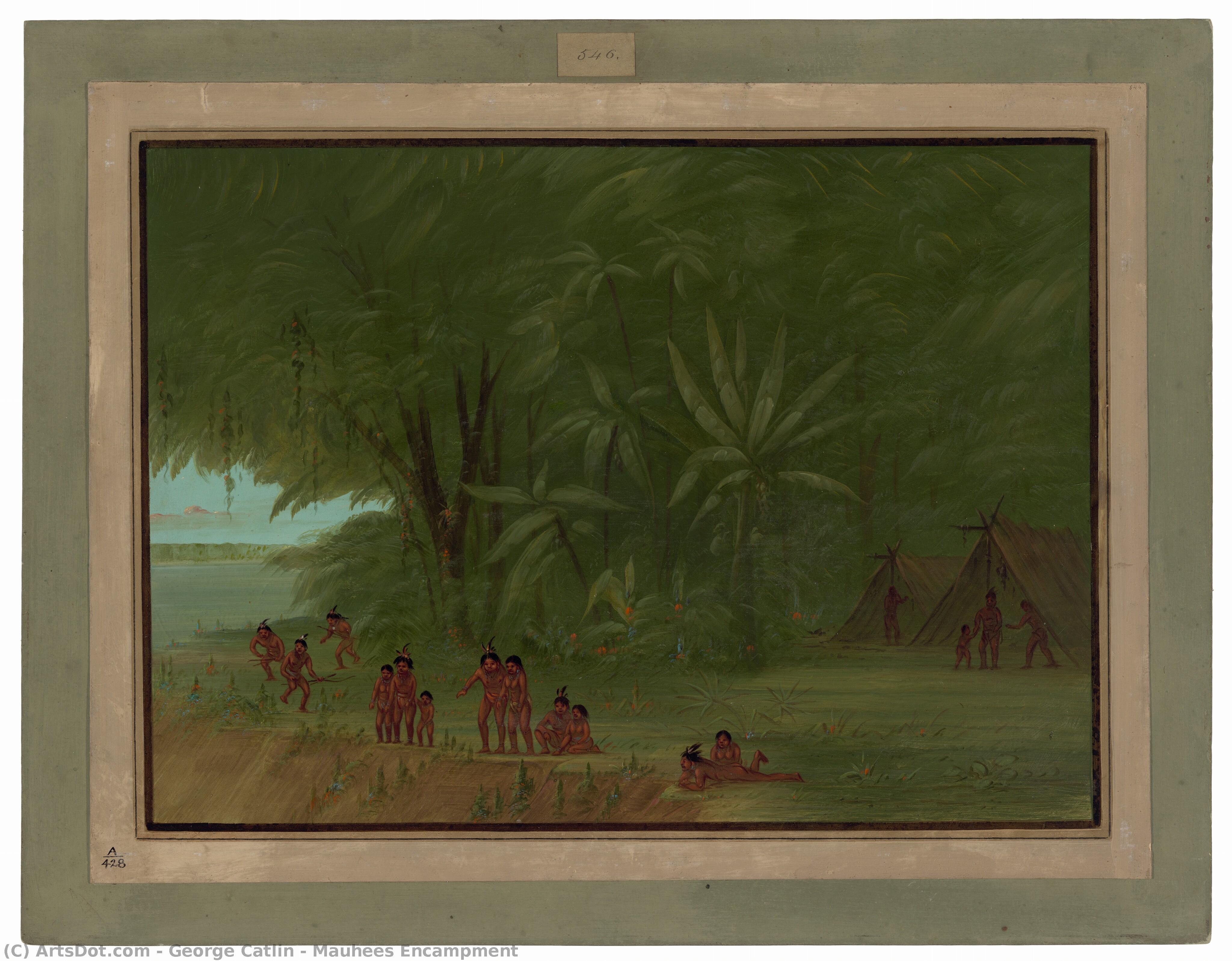 Mauhees Encampment — Джордж Катлин