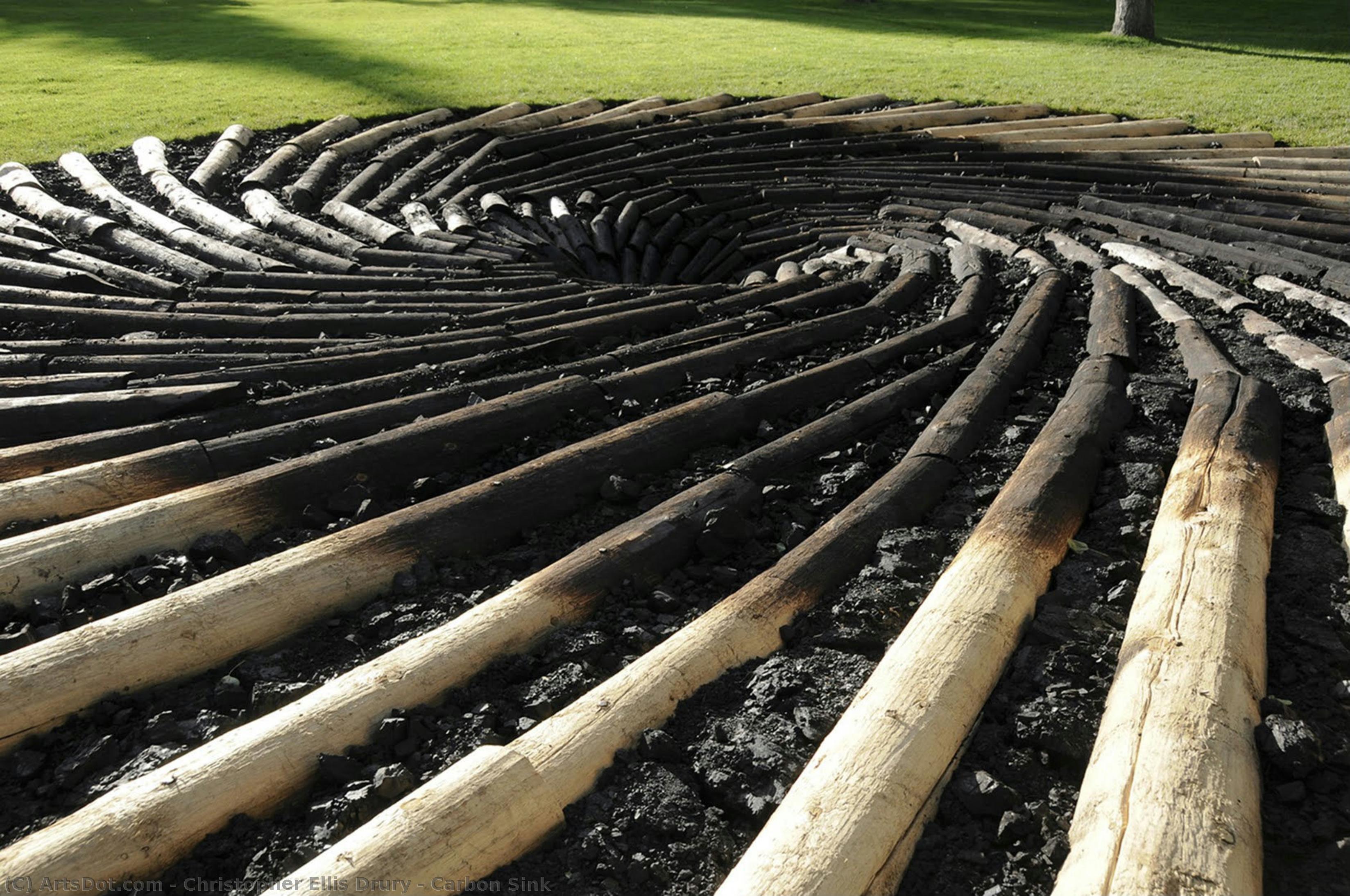 Carbon Sink — Christopher Ellis Drury