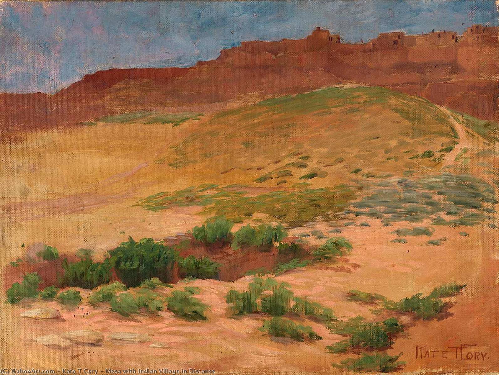 Mesa With Indian Village In Distance — Kate T Cory