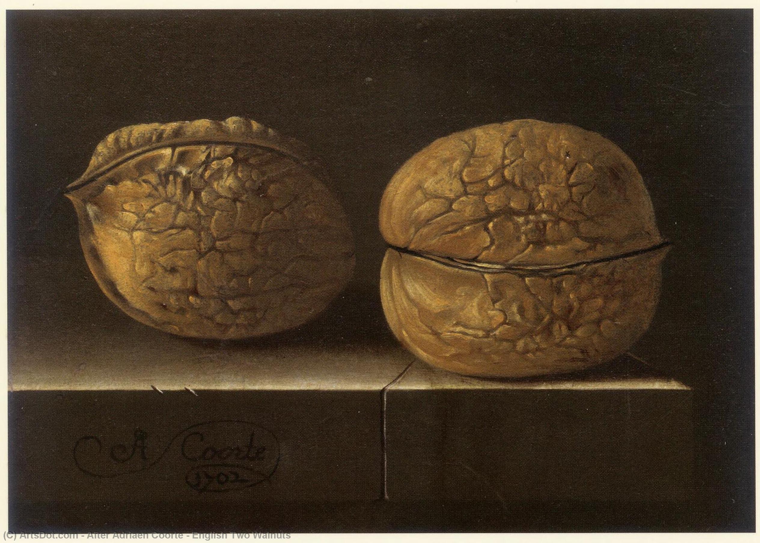 English Two Walnuts — After Adriaen Coorte