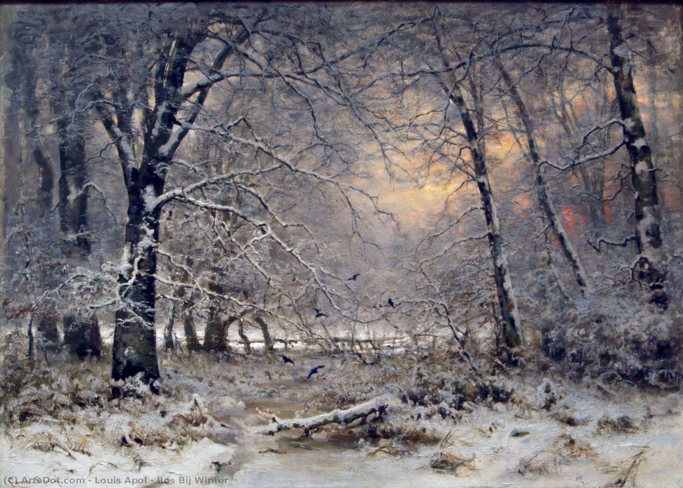 Bos Bij Winter — Louis Apol