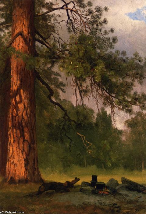 Yosemite Camp Kitchen — Альберт Биерштадт