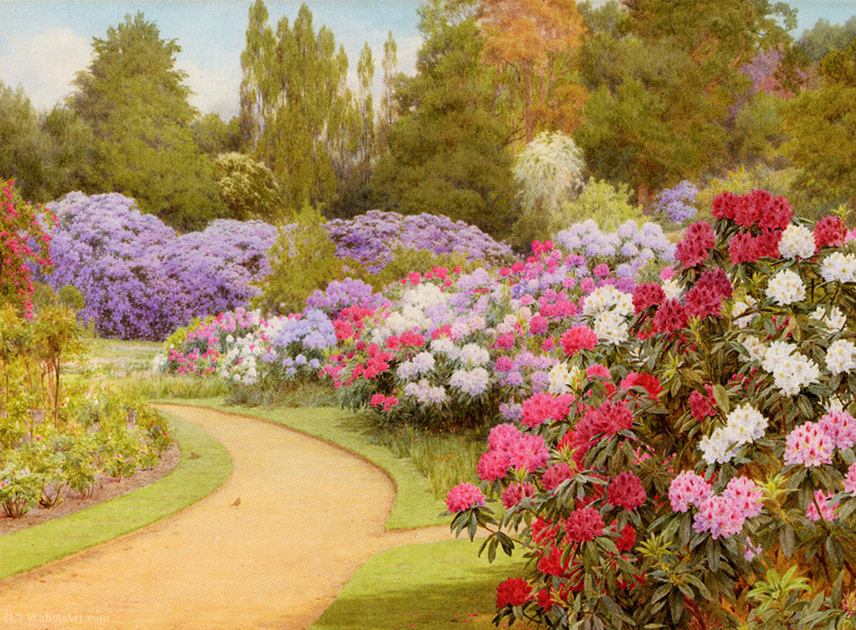 The Rhododendron Walk — George Marks