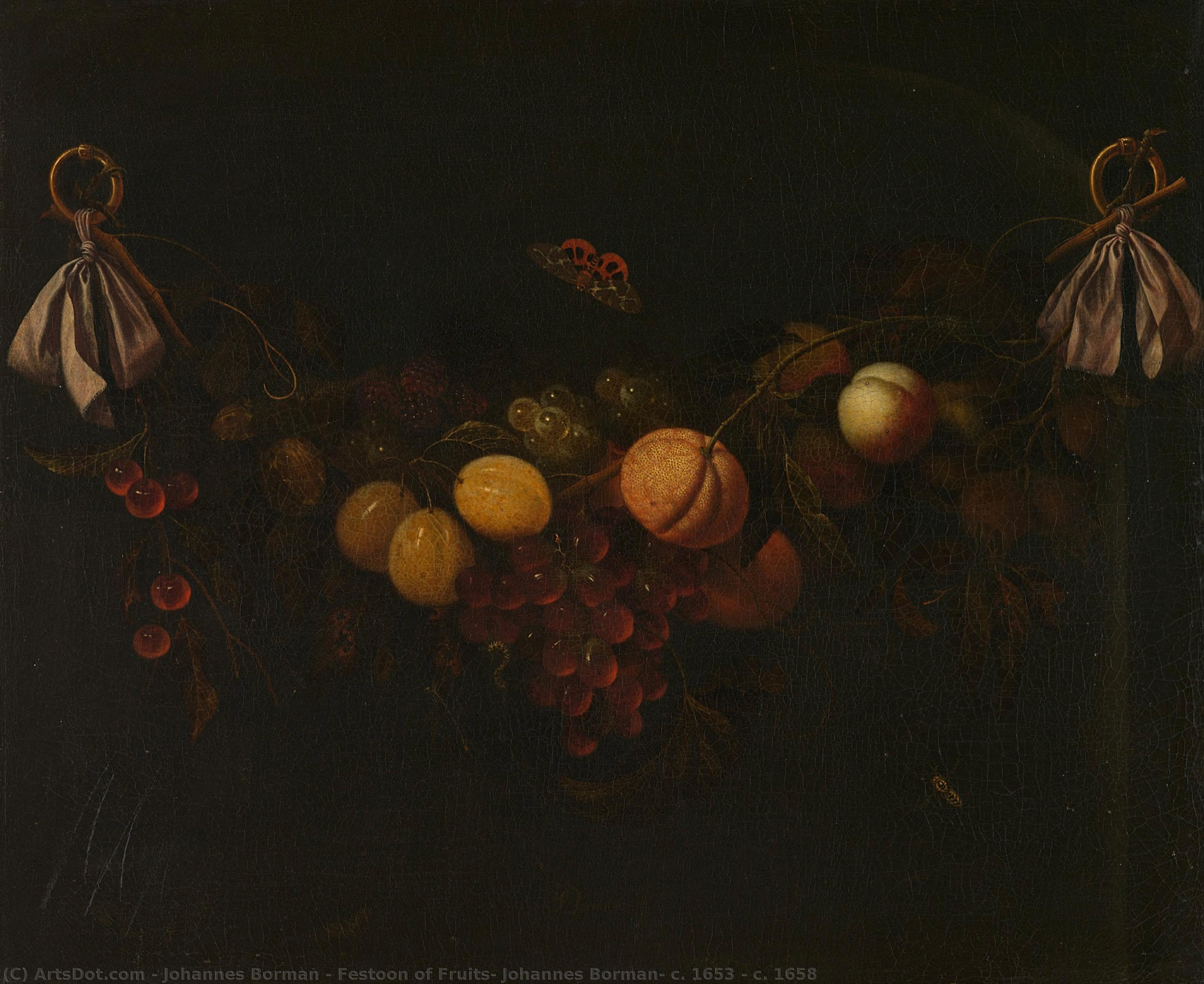 Festoon Of Fruits, Johannes Borman, C. 1653 - C. 1658 — Johannes Borman