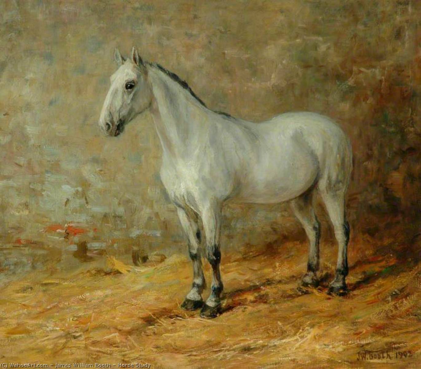 Horse Study — James William Booth